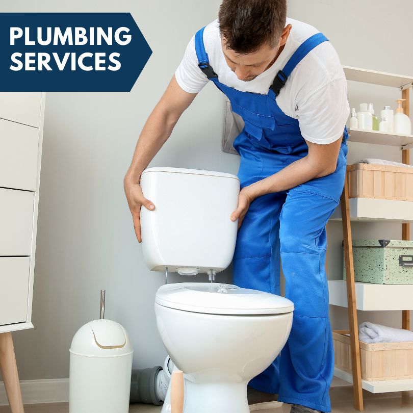 Plumbing Company in Morton Grove, IL